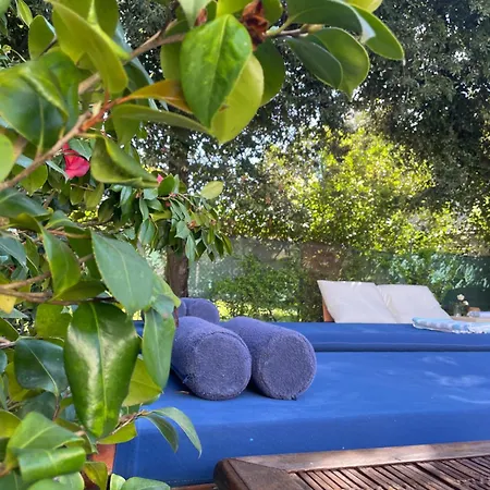 Apartamento Chiara Class Marina di Pietrasanta